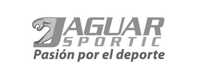 Jaguar Sportic