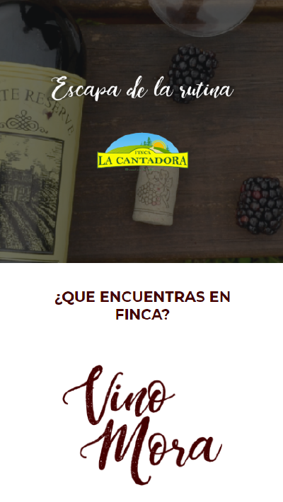 Sitio web institucional