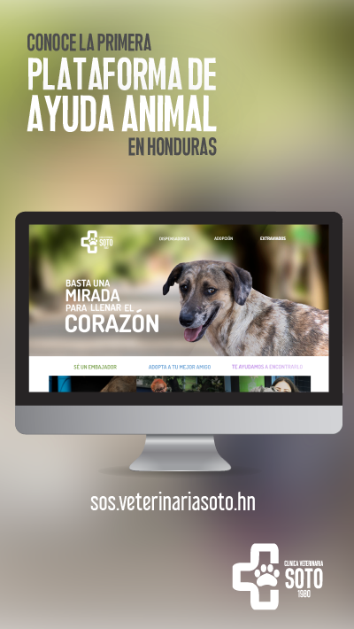 Sitio web institucional